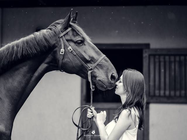 Ensaio Pessoal de Love horses - Larissa