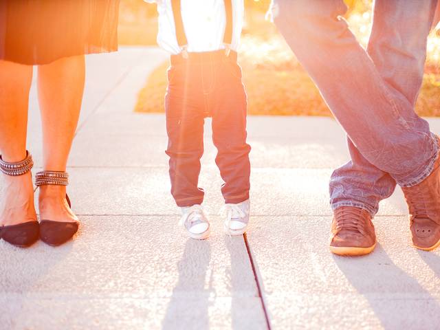 Família  de Ensaio da Família Brussolo  - 