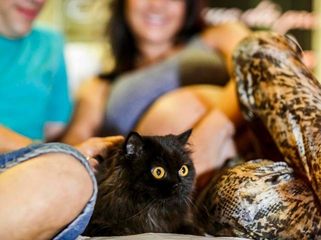 Gestantes de Samuel e Sofia