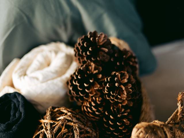 Especial de Natal de Natal Encantado 2022