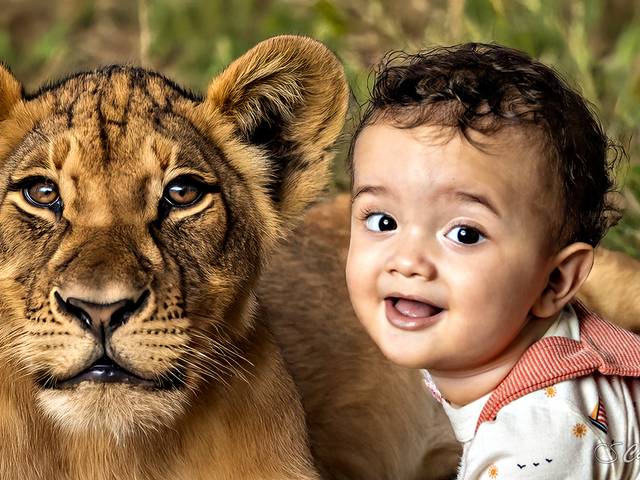 Infantil de Leonardo Seidl - 10 Meses