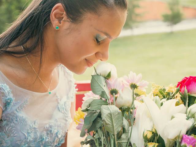 Aniversário de 15 anos Ariadne 