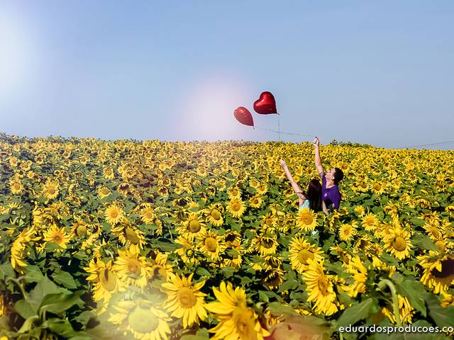 Pre Wedding de Barbara & Junior