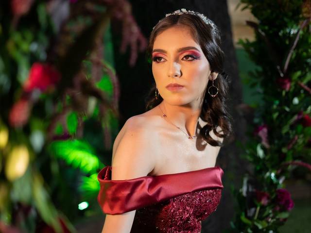 15 Anos de 15 Anos da Cecília