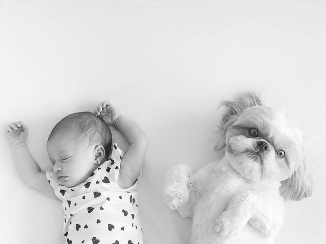 Newborn Lifestyle de Julia 16 dias