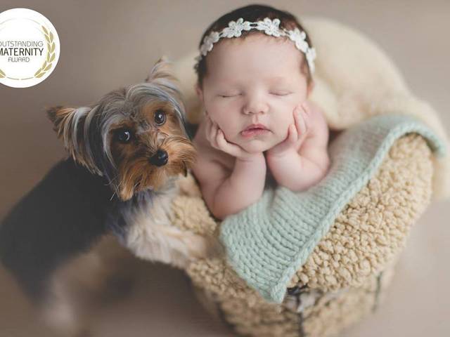 Premiações de 4th Season