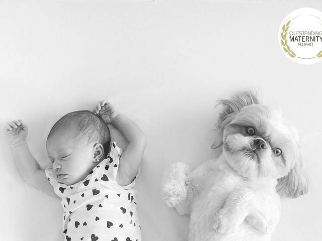 Premiações de 2th Season