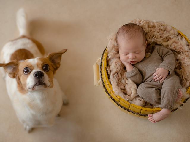 Newborn Tradicional de Theo 11 dias