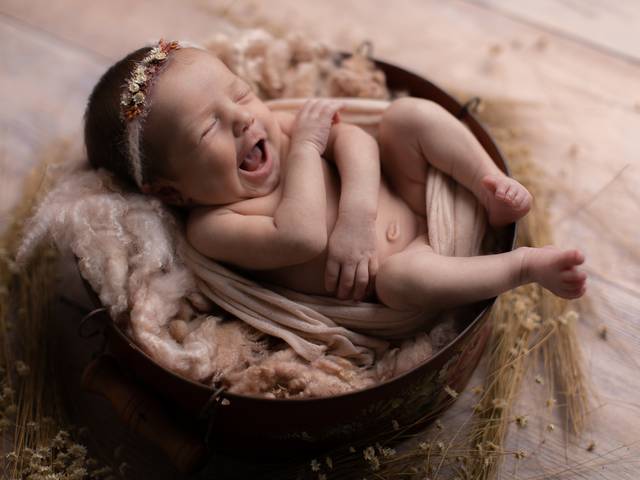 Newborn Tradicional de Ensaio Newborn Isadora, 15 dias