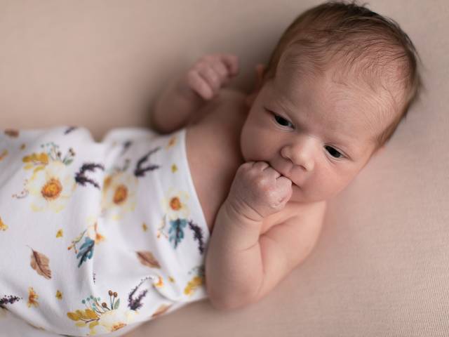 Newborn Tradicional de Ensaio Newborn Sophia 9 Dias 