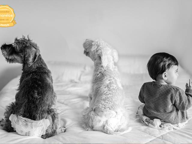 Premiações de QUINTO LUGAR PRIMEIRA SESSÃO 2019 - AMAR.ELOS