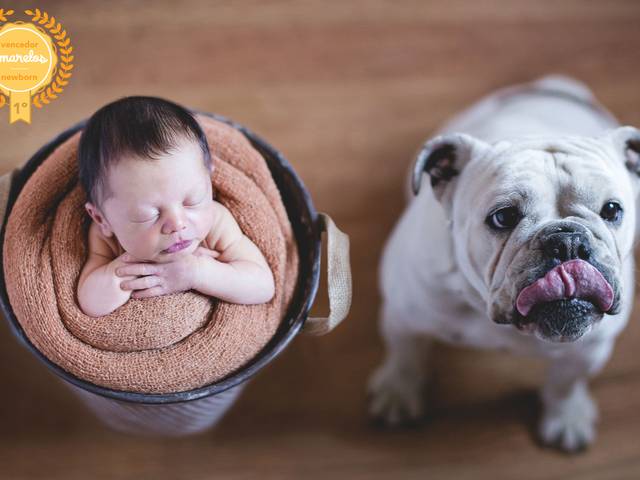 Premiações de PRIMEIRO LUGAR TERCEIRA SESSÃO 2019 - AMAR.ELOS