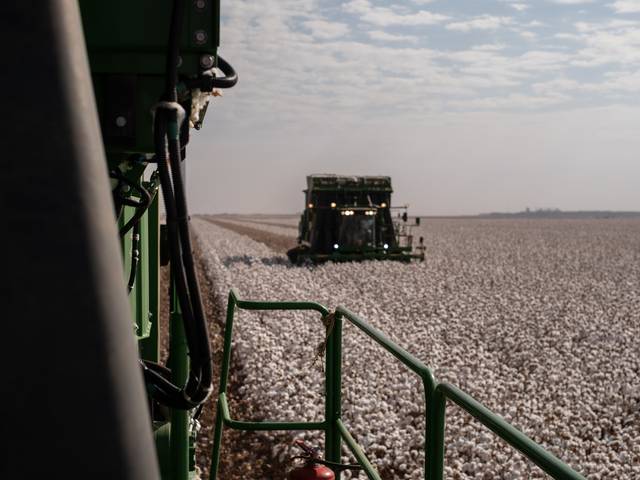 Empresarial de Locks