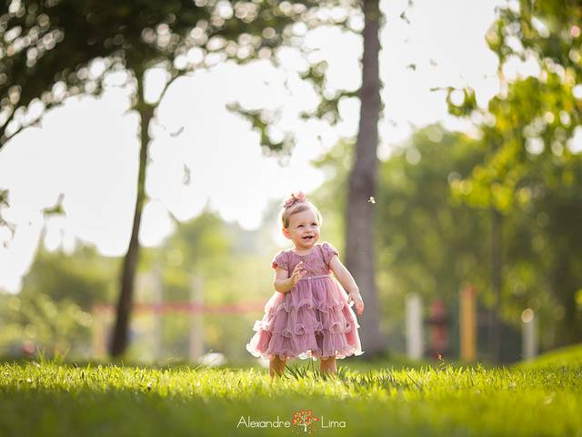 Smash the cake de Sophia 