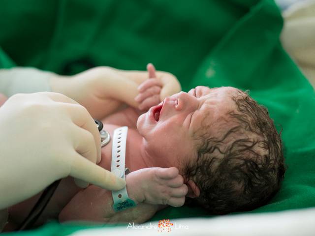 Nascimento de A chegada de Pedro