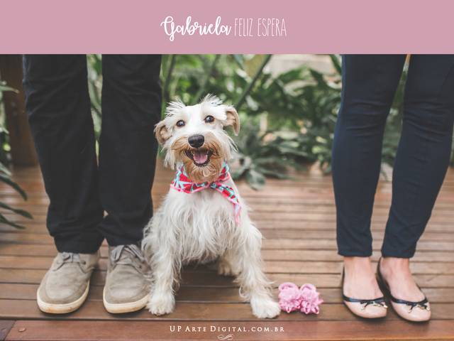 Gestante de {Gabriela} Feliz Espera