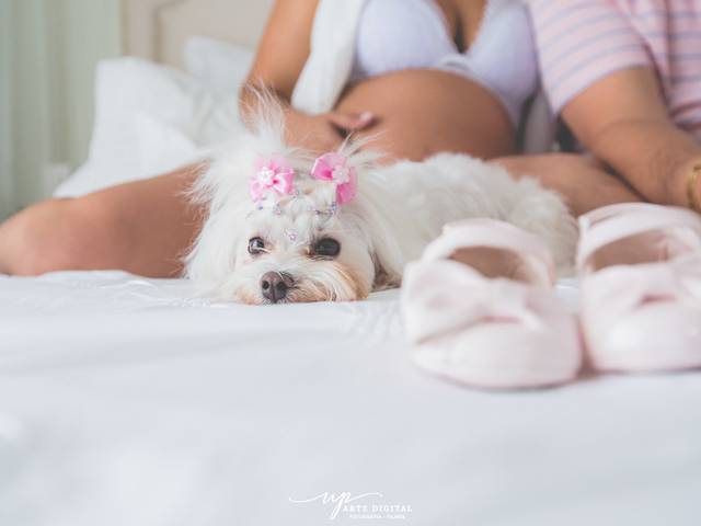 Gestante de A espera da Maria Helena