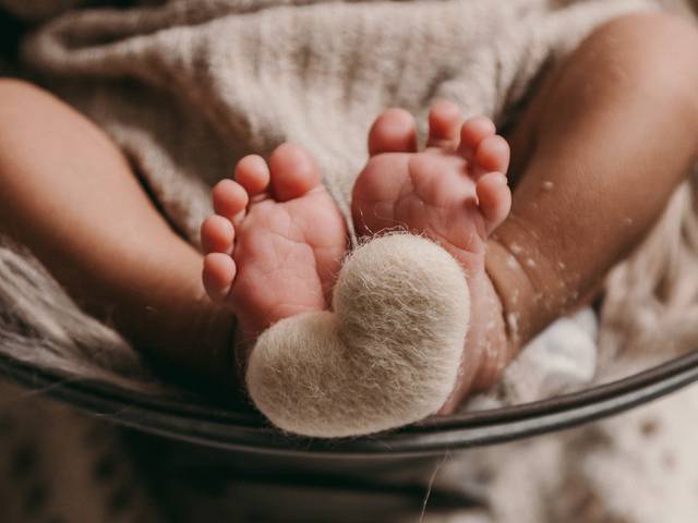 Newborn de Bernardo - Newborn