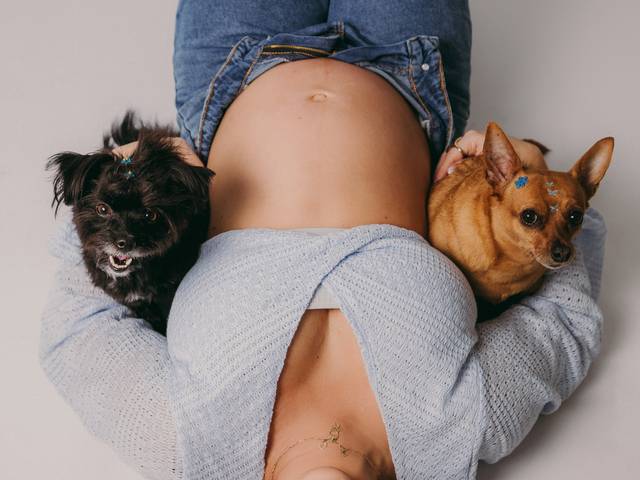 Gestantes de Esperando Caio