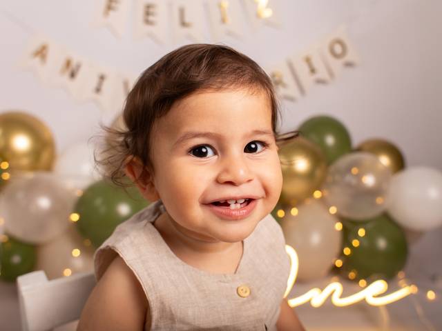 Bebês de Pedro - Meu primeiro ano