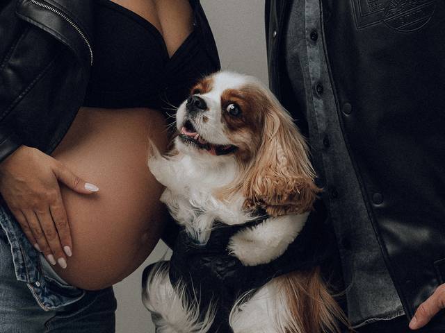 GESTANTE de GESTANTE DÉBORA