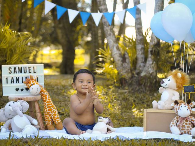 PortFólio de Smash the cake