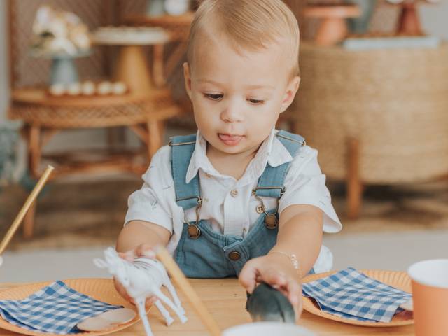 Festa Infantil de João | 1 ano