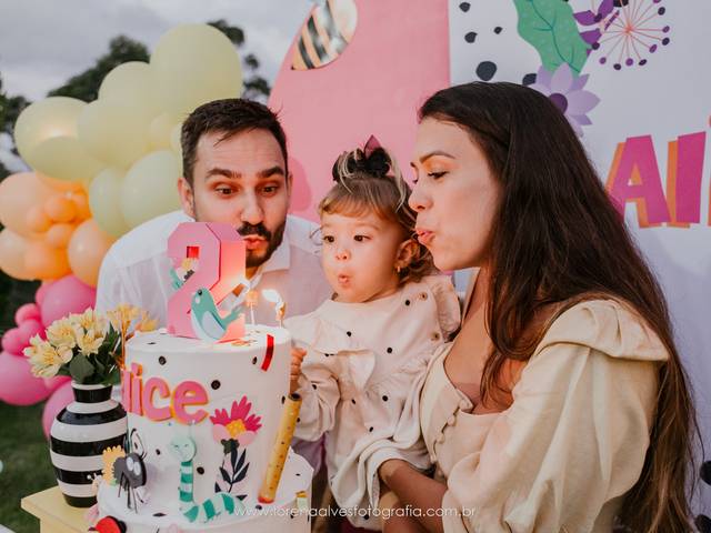 Festa Infantil de Alice 2 anos