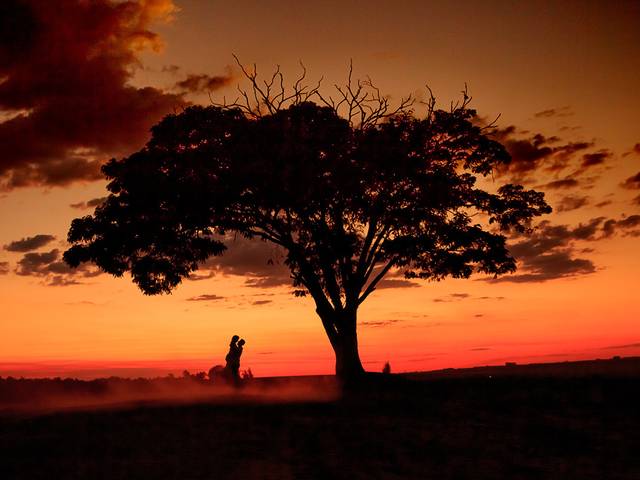 pré-casamento de Ensaio Pré Wedding Holambra - Juliana e Silvio