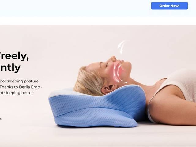 E-Commerce of Derila ERGO Memory Foam Pillow Canada: Real Solution or Just Marketing Hype?