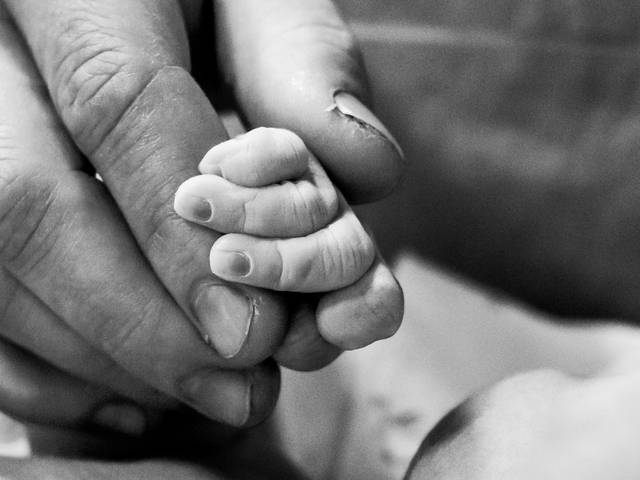 NASCIMENTOS de LUIS ALFREDO