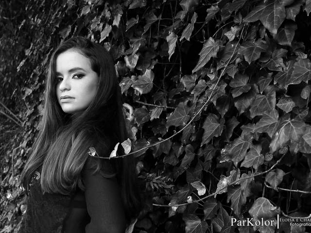 15 anos de FRANCINE-15 ANOS