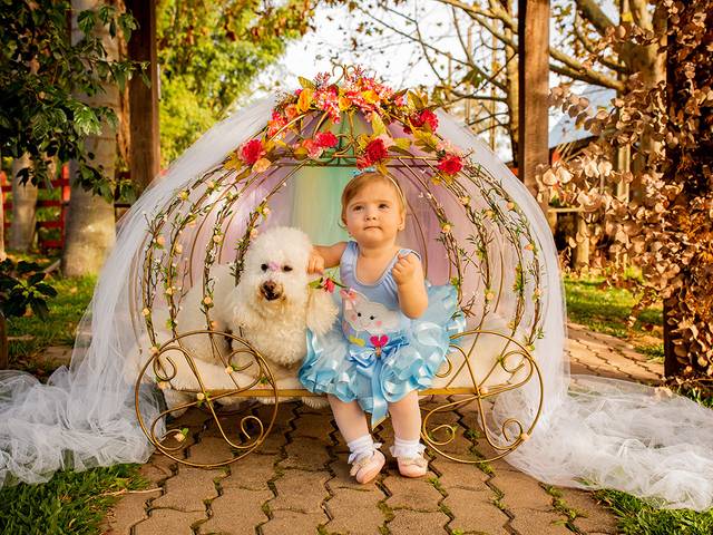 Família de Ana Júlia Machry