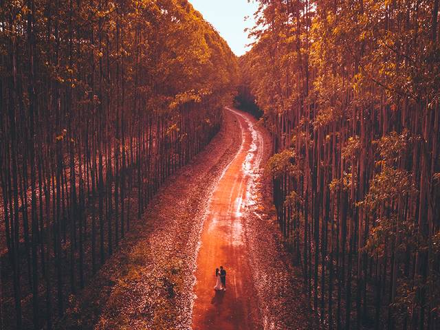 Pré Wedding de Ester e Pedro