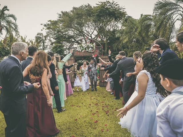Casamento de Amanda e Pedro