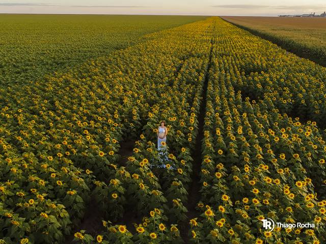 Gestante de Daiane Martelli 