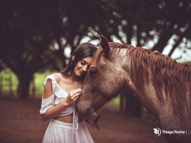 BOOK de Book de 15 anos Andriely