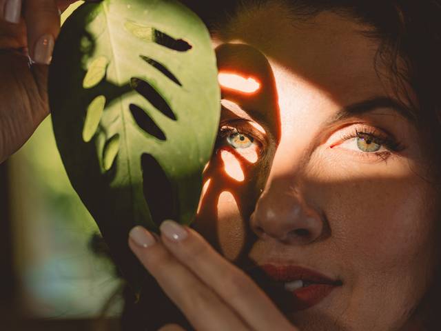 Ensaios de Cardinally - Ensaio