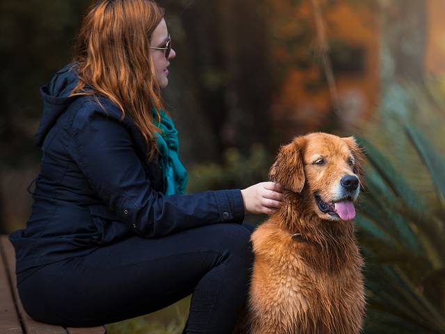 P E T de Ensaios PET