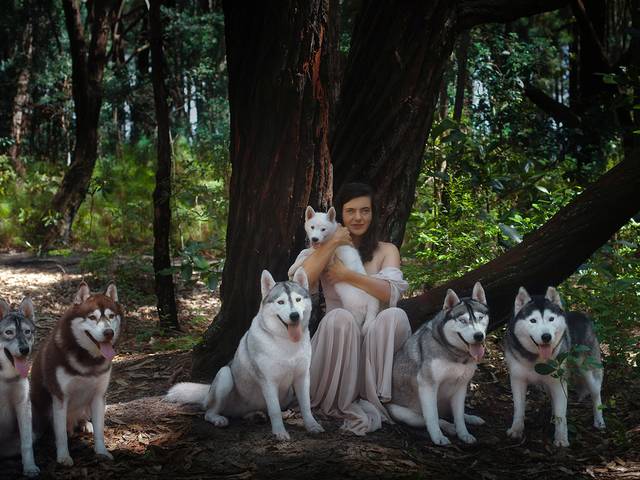 TEMÁTICOS de Elisa que corre com Lobos