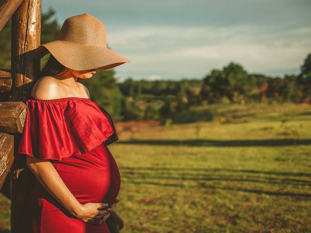 Gestantes  de Flavia - A espera de Bernardo