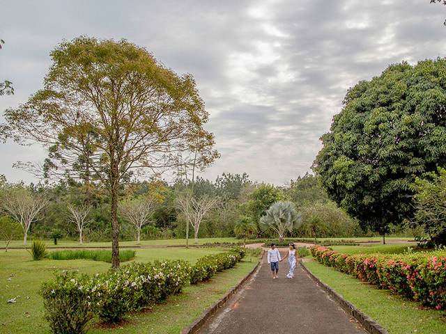 Bodas de Bodas de Papel Priscilla e Daniel 