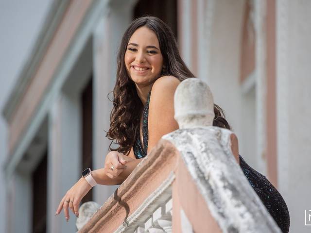 Ensaios de Ensaio 15 Anos Gabriela Muller