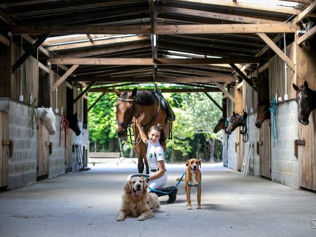 Ensaios de Maria Julia O. H. Lima