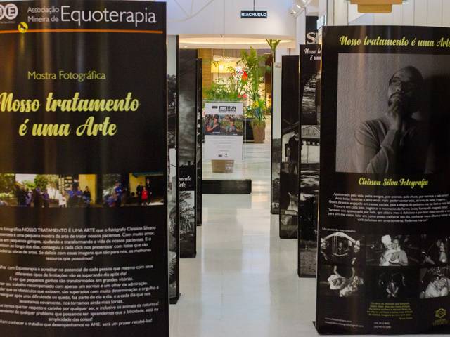 Exposições & Projetos de Exposição Fotográfica