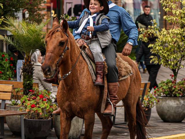 CANELA de DESFILE FARROUPILHA
