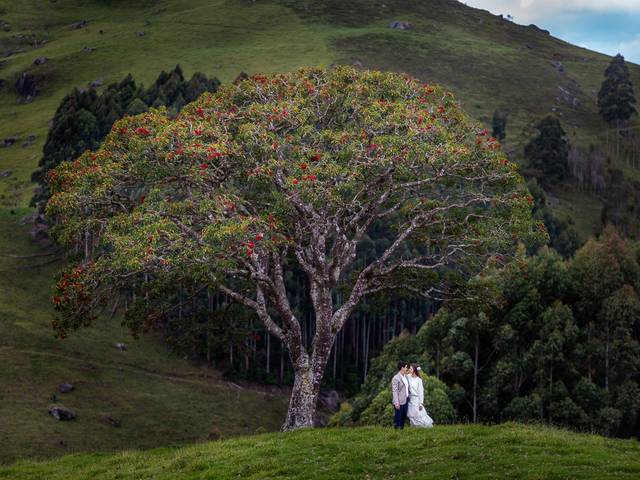 Casamentos de Karla e Marcelo - Casamento civil