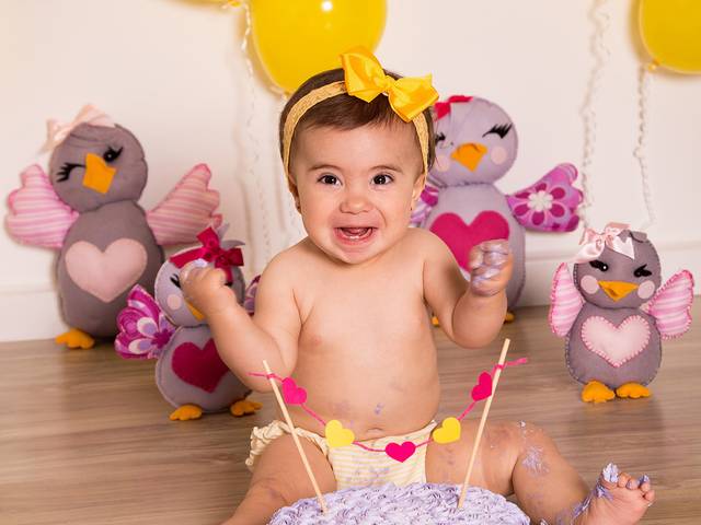 Smash the Cake de Lavinia 1 aninho