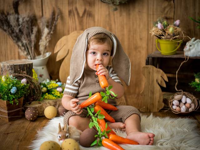 Acompanhamento do Bebê de Rafael - 1 ano