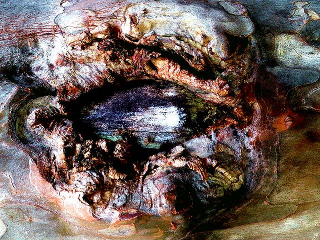 Fotografia Autoral Fineart de Da série 